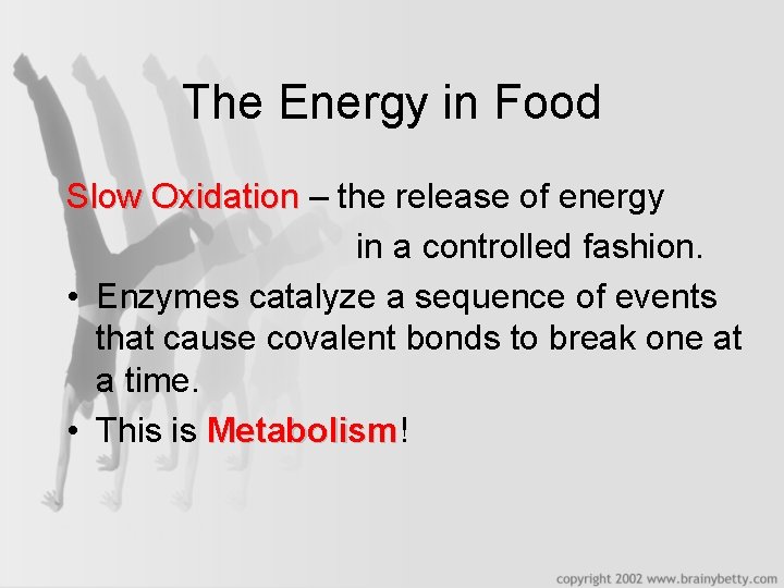 The Energy in Food Slow Oxidation – the release of energy in a controlled
