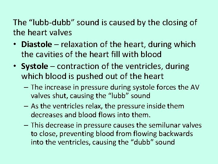 The “lubb-dubb” sound is caused by the closing of the heart valves • Diastole