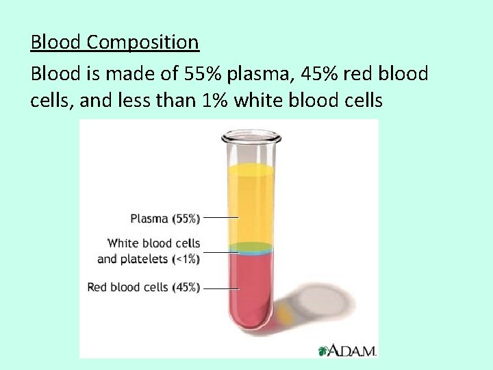Blood Composition Blood is made of 55% plasma, 45% red blood cells, and less