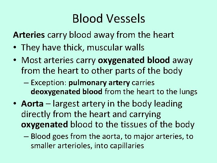 Blood Vessels Arteries carry blood away from the heart • They have thick, muscular