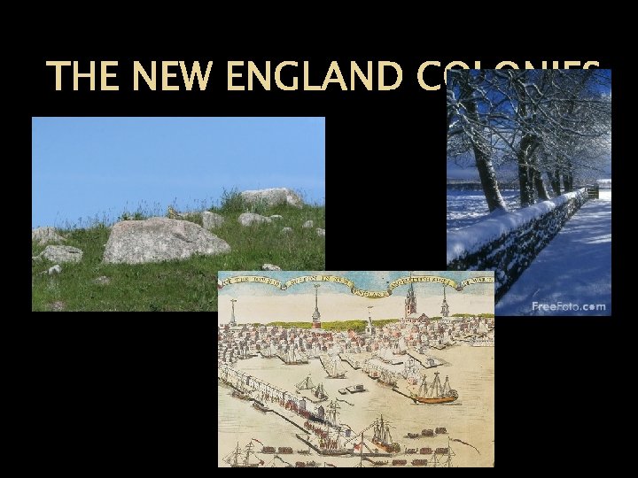 THE NEW ENGLAND COLONIES 