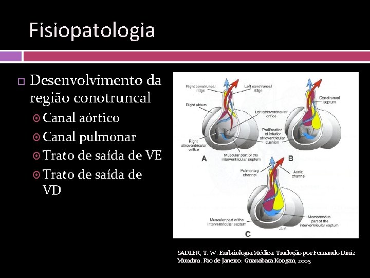 Fisiopatologia Desenvolvimento da região conotruncal Canal aórtico Canal pulmonar Trato de saída de VE