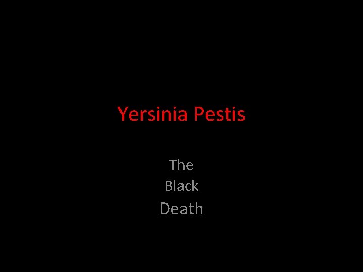 Yersinia Pestis The Black Death 