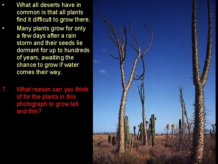  • • 7. What all deserts have in common is that all plants