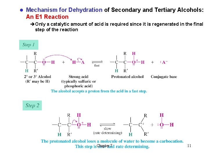 l Mechanism for Dehydration of Secondary and Tertiary Alcohols: An E 1 Reaction èOnly