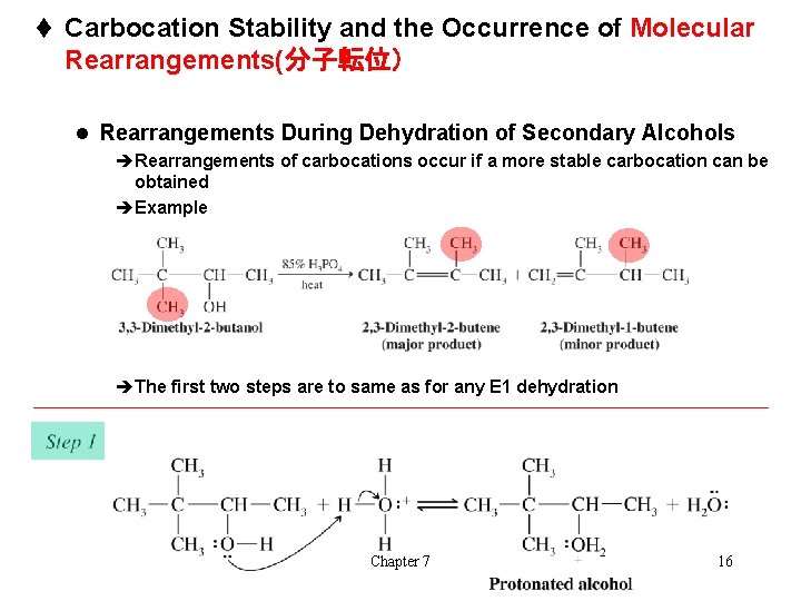 t Carbocation Stability and the Occurrence of Molecular Rearrangements(分子転位） l Rearrangements During Dehydration of