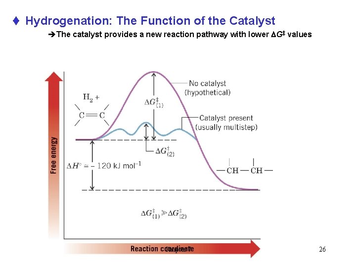 t Hydrogenation: The Function of the Catalyst èThe catalyst provides a new reaction pathway