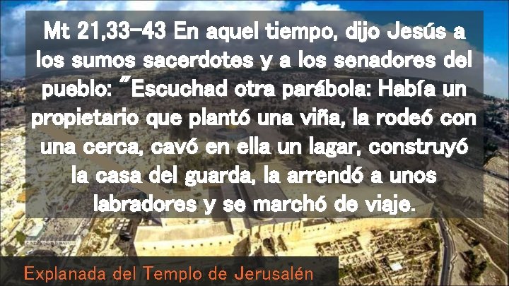 Mt 21, 33 -43 En aquel tiempo, dijo Jesús a los sumos sacerdotes y