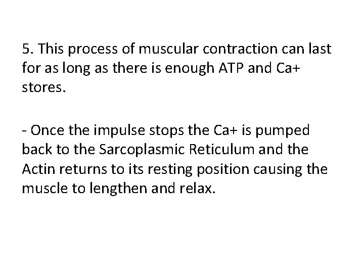 5. This process of muscular contraction can last for as long as there is