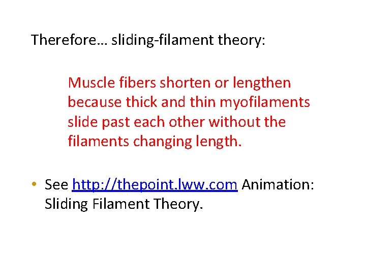 Therefore… sliding-filament theory: Muscle fibers shorten or lengthen because thick and thin myofilaments slide