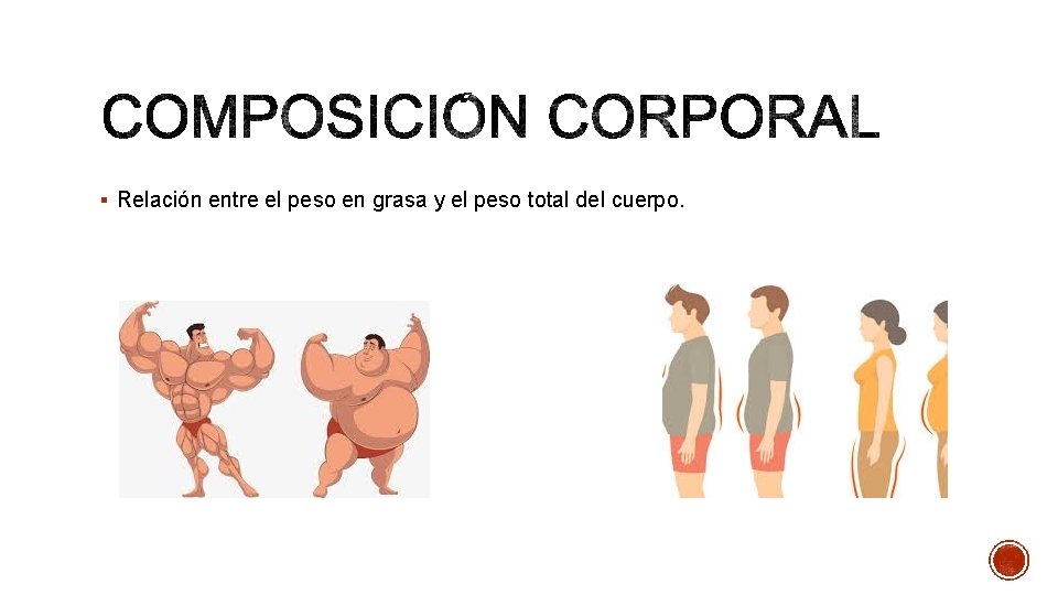 § Relación entre el peso en grasa y el peso total del cuerpo. 