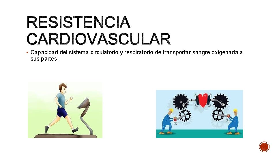 § Capacidad del sistema circulatorio y respiratorio de transportar sangre oxigenada a sus partes.