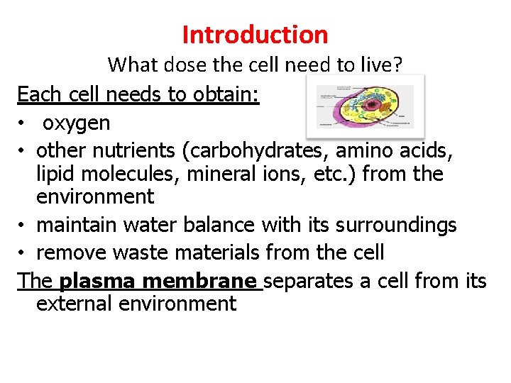 Introduction What dose the cell need to live? Each cell needs to obtain: •