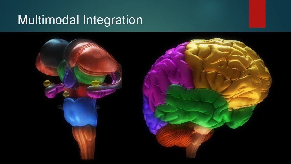 Multimodal Integration Multimodal Integration