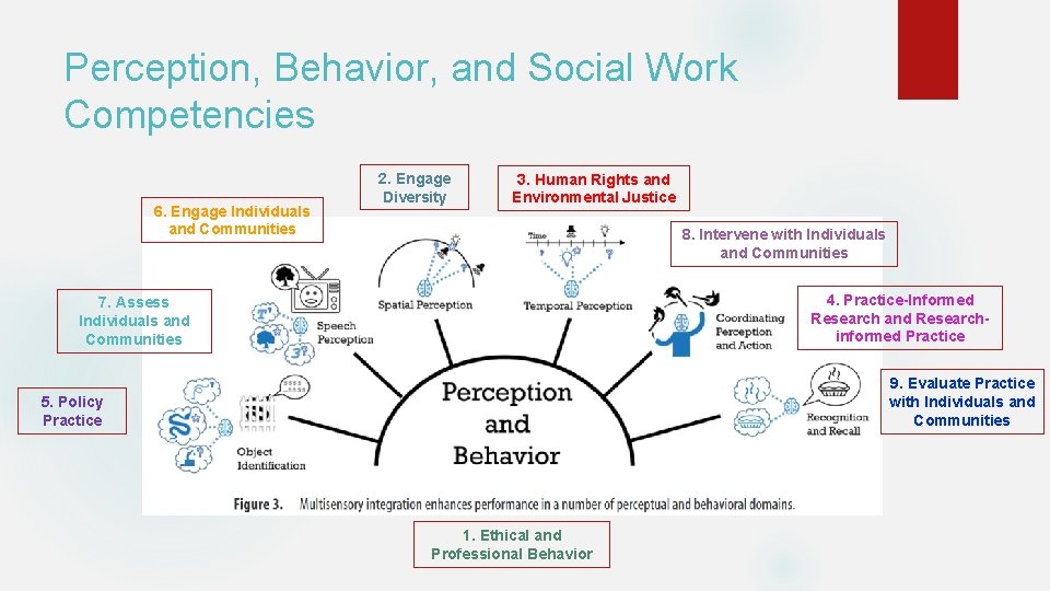 Perception, Behavior, and Social Work Competencies 6. Engage Individuals and Communities 2. Engage Diversity Perception, Behavior, and Social Work Competencies 6. Engage Individuals and Communities 2. Engage Diversity
