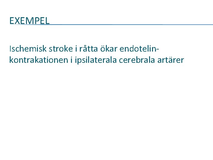 EXEMPEL Ischemisk stroke i råtta ökar endotelinkontrakationen i ipsilaterala cerebrala artärer 