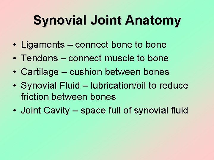 Synovial Joint Anatomy • • Ligaments – connect bone to bone Tendons – connect