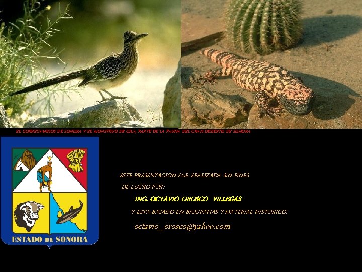 EL CORRECAMINOS DE SONORA Y EL MONSTRUO DE GILA, PARTE DE LA FAUNA DEL