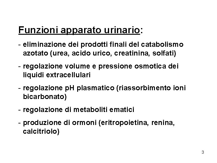 Funzioni apparato urinario: - eliminazione dei prodotti finali del catabolismo azotato (urea, acido urico,