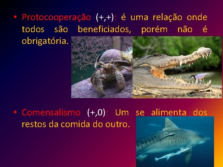  • Protocooperação (+, +): é uma relação onde todos são beneficiados, porém não