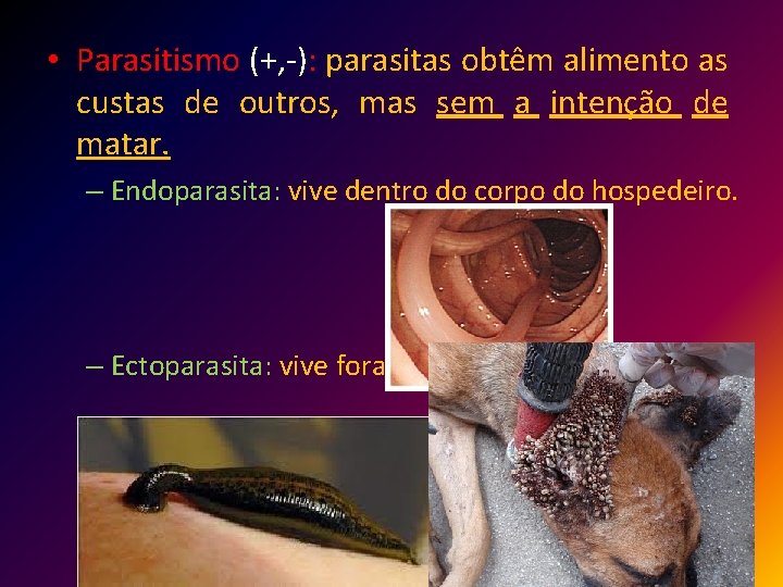  • Parasitismo (+, -): parasitas obtêm alimento as custas de outros, mas sem