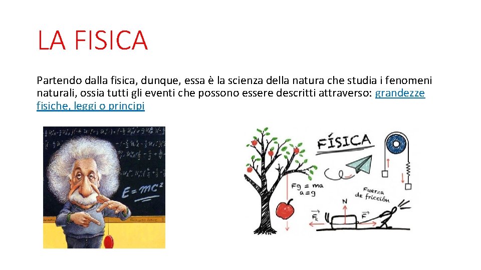 LA FISICA Partendo dalla fisica, dunque, essa è la scienza della natura che studia