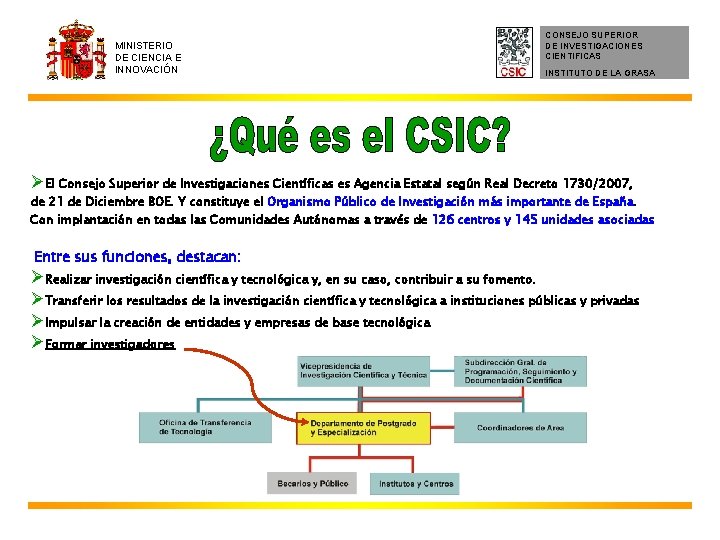 MINISTERIO DE CIENCIA E INNOVACIÓN CONSEJO SUPERIOR DE INVESTIGACIONES CIENTIFICAS INSTITUTO DE LA GRASA