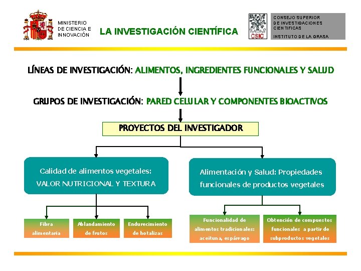 MINISTERIO DE CIENCIA E INNOVACIÓN LA INVESTIGACIÓN CIENTÍFICA CONSEJO SUPERIOR DE INVESTIGACIONES CIENTIFICAS INSTITUTO