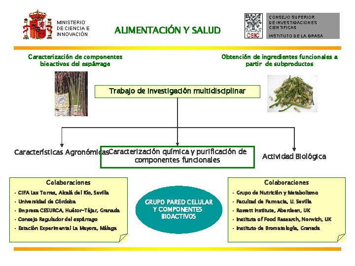 MINISTERIO DE CIENCIA E INNOVACIÓN CONSEJO SUPERIOR DE INVESTIGACIONES CIENTIFICAS ALIMENTACIÓN Y SALUD Caracterización