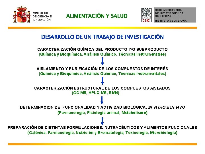 MINISTERIO DE CIENCIA E INNOVACIÓN ALIMENTACIÓN Y SALUD CONSEJO SUPERIOR DE INVESTIGACIONES CIENTIFICAS INSTITUTO