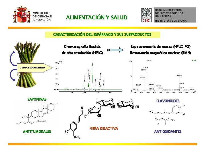 MINISTERIO DE CIENCIA E INNOVACIÓN CONSEJO SUPERIOR DE INVESTIGACIONES CIENTIFICAS ALIMENTACIÓN Y SALUD INSTITUTO