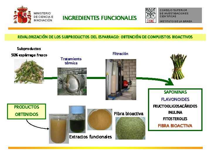 MINISTERIO DE CIENCIA E INNOVACIÓN INGREDIENTES FUNCIONALES CONSEJO SUPERIOR DE INVESTIGACIONES CIENTIFICAS INSTITUTO DE