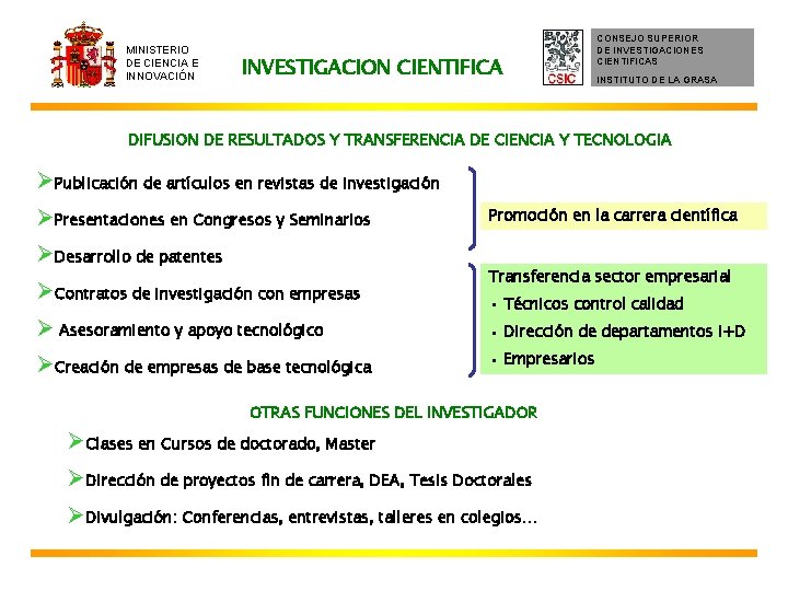 MINISTERIO DE CIENCIA E INNOVACIÓN INVESTIGACION CIENTIFICA CONSEJO SUPERIOR DE INVESTIGACIONES CIENTIFICAS INSTITUTO DE