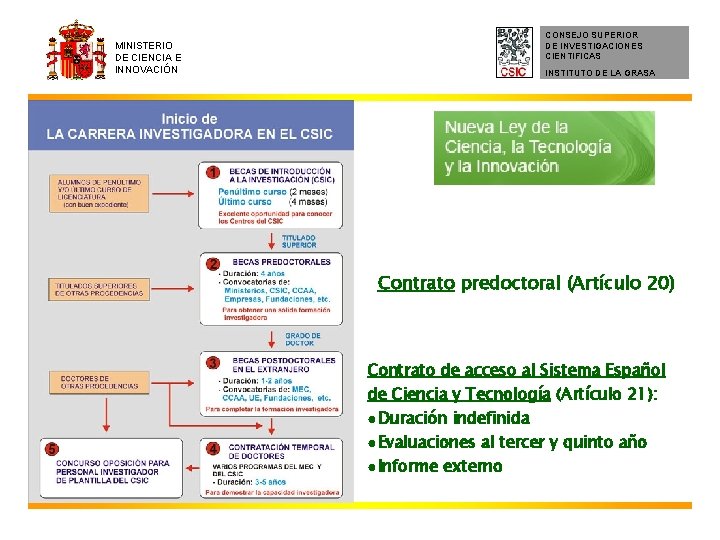 MINISTERIO DE CIENCIA E INNOVACIÓN CONSEJO SUPERIOR DE INVESTIGACIONES CIENTIFICAS INSTITUTO DE LA GRASA