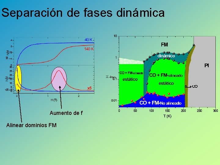 Separación de fases dinámica Aumento de f Alinear dominios FM 