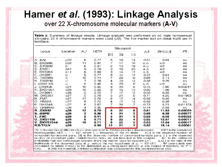 Hamer et al. (1993): Linkage Analysis over 22 X-chromosome molecular markers (A-V) 