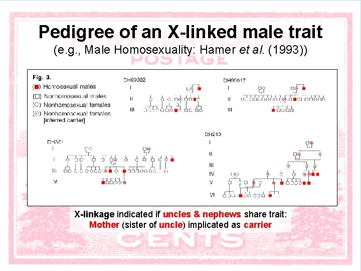 Pedigree of an X-linked male trait (e. g. , Male Homosexuality: Hamer et al.