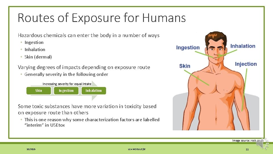 Routes of Exposure for Humans Hazardous chemicals can enter the body in a number