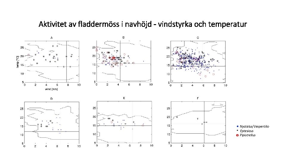 Aktivitet av fladdermöss i navhöjd - vindstyrka och temperatur Nyctalus/Vespertilio * Eptesicus Pipistrellus 