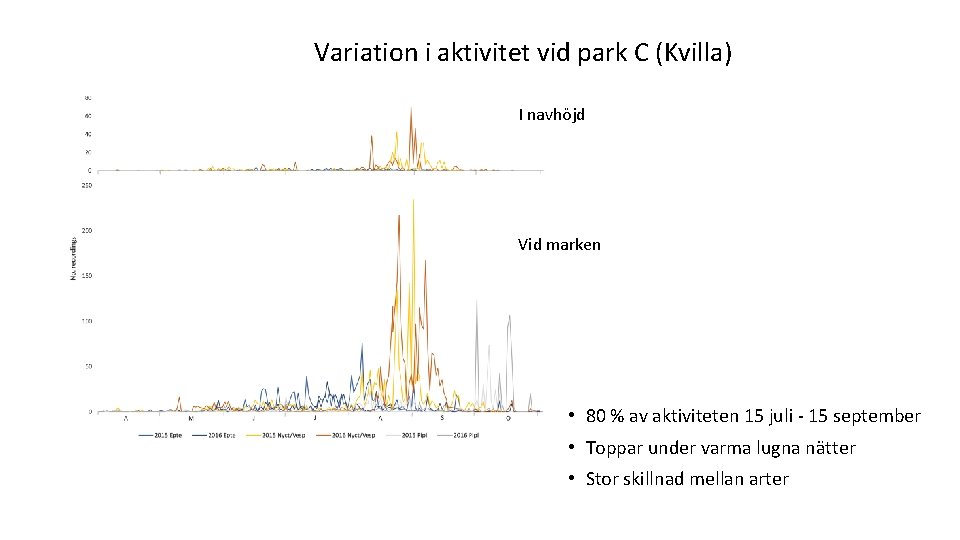 Variation i aktivitet vid park C (Kvilla) I navhöjd Vid marken • 80 %