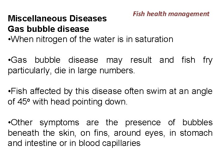 Fish health management Miscellaneous Diseases Gas bubble disease • When nitrogen of the water