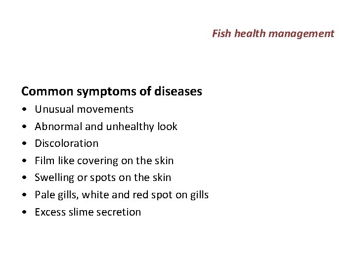 Fish health management Common symptoms of diseases • • Unusual movements Abnormal and unhealthy