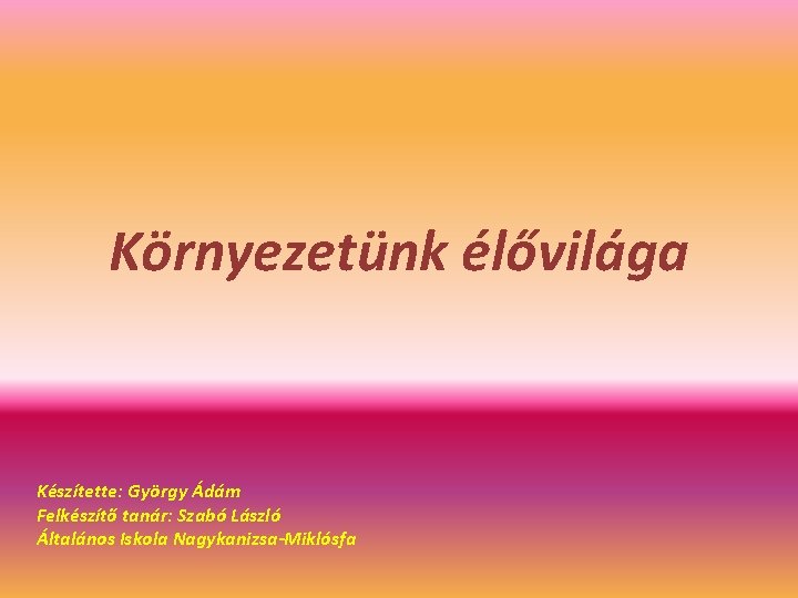 Környezetünk élővilága Készítette: György Ádám Felkészítő tanár: Szabó László Általános Iskola Nagykanizsa-Miklósfa 