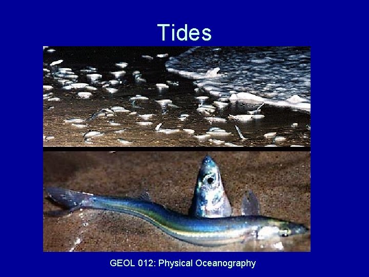 Tides GEOL 012: Physical Oceanography 