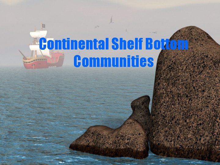 Continental Shelf Bottom Communities 