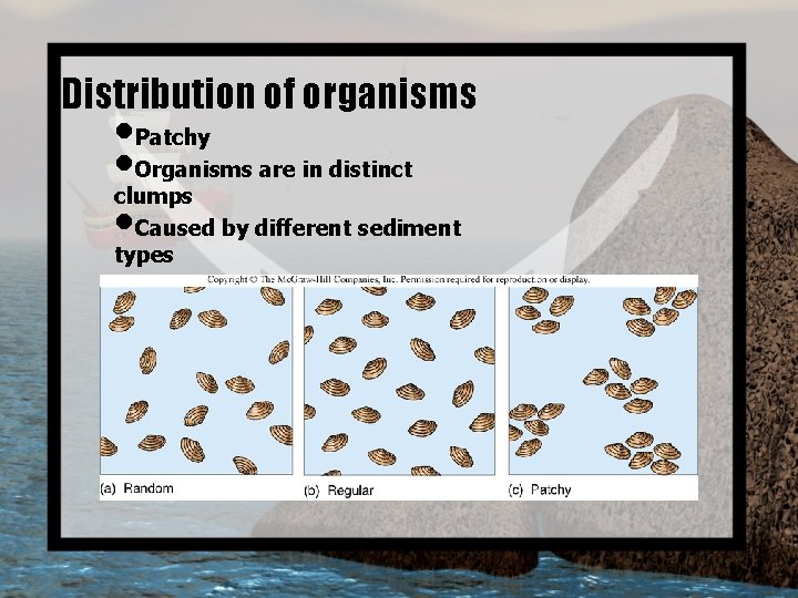 Distribution of organisms • Patchy • Organisms are in distinct clumps • Caused by