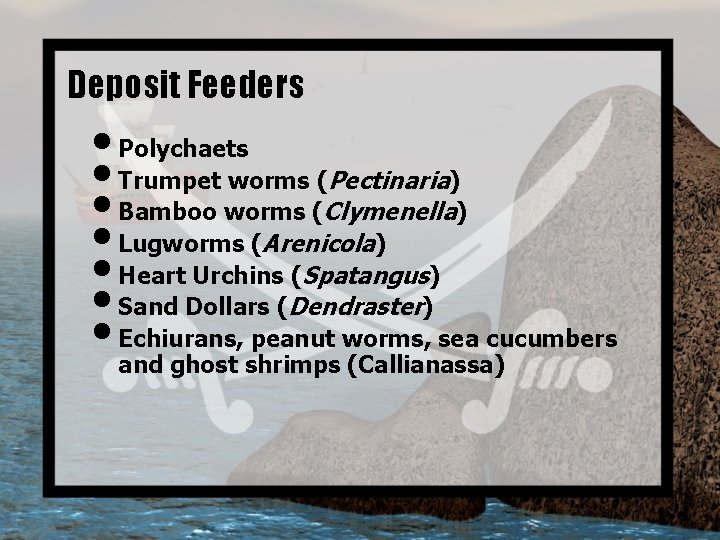 Deposit Feeders • Polychaets • Trumpet worms (Pectinaria) • Bamboo worms (Clymenella) • Lugworms
