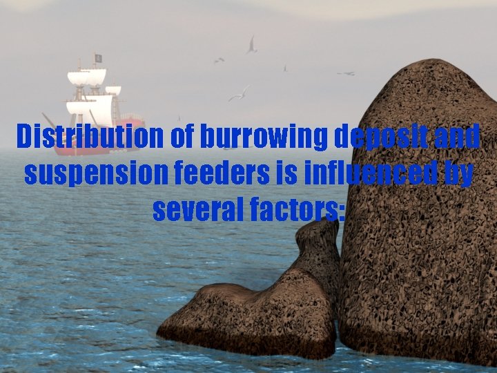 Distribution of burrowing deposit and suspension feeders is influenced by several factors: 