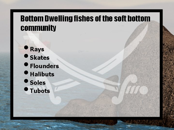 Bottom Dwelling fishes of the soft bottom community • Rays • Skates • Flounders