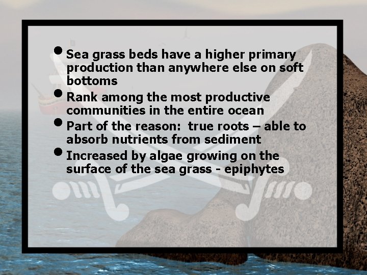  • Sea grass beds have a higher primary • • • production than